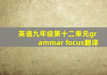 英语九年级第十二单元grammar focus翻译